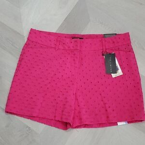 ✨️The Limited Women’s Tailored Hot Pink Eyelet Shorts, Size 10✨️NWT